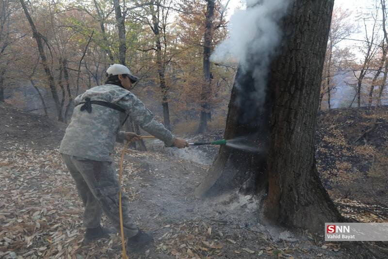 عکس / آتش سوزی در جنگل‌های گلستان 12