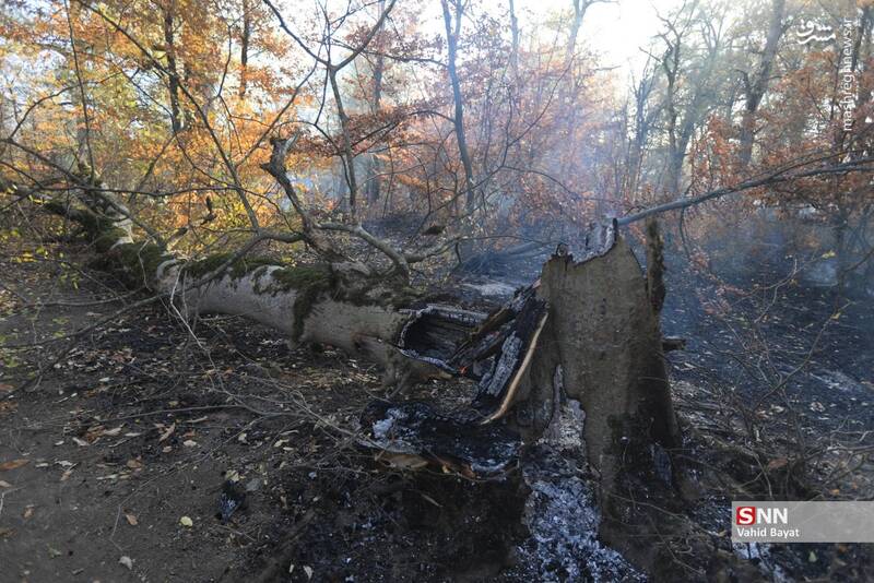 عکس / آتش سوزی در جنگل‌های گلستان 11