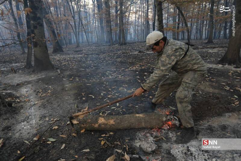 عکس / آتش سوزی در جنگل‌های گلستان 10
