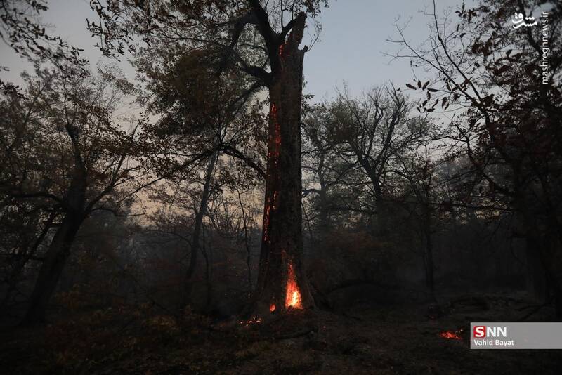 عکس / آتش سوزی در جنگل‌های گلستان 9