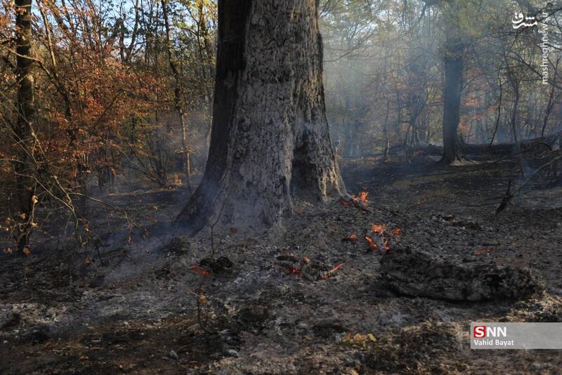 عکس / آتش سوزی در جنگل‌های گلستان 8