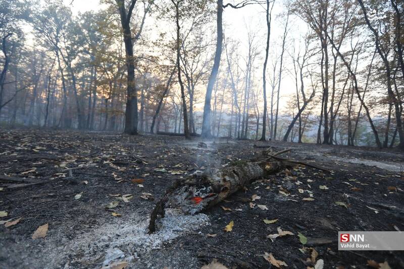عکس / آتش سوزی در جنگل‌های گلستان 7