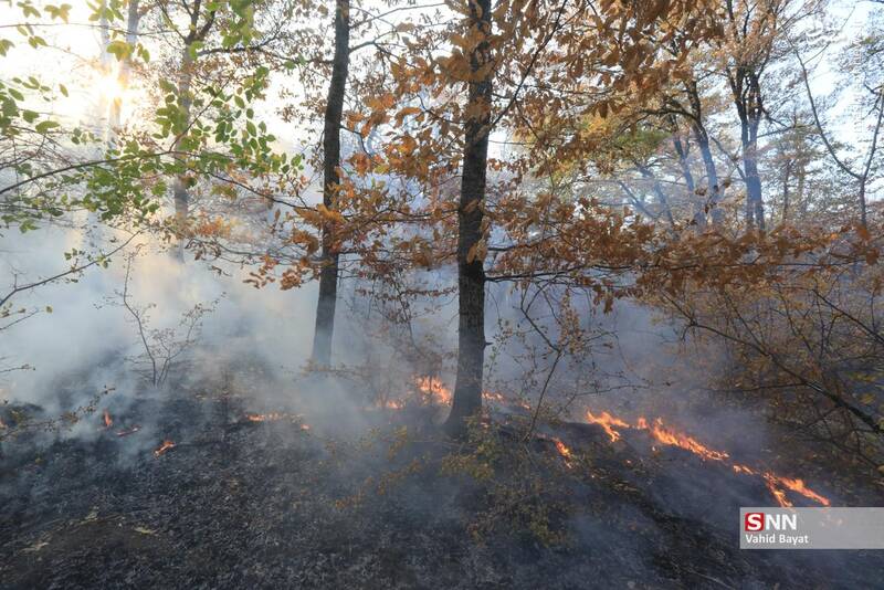 عکس / آتش سوزی در جنگل‌های گلستان 5
