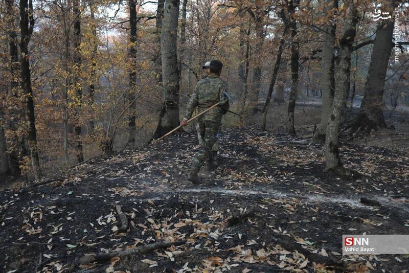 عکس / آتش سوزی در جنگل‌های گلستان 4