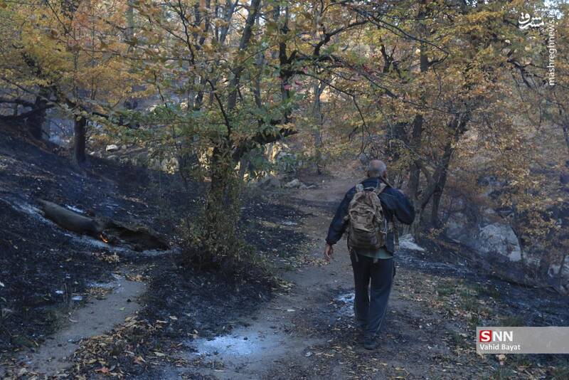عکس / آتش سوزی در جنگل‌های گلستان 3