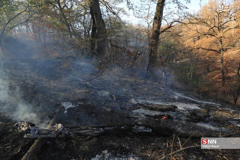 عکس / آتش سوزی در جنگل‌های گلستان 2