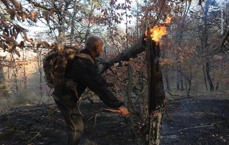 عکس/ آتش سوزی در جنگل‌های گلستان