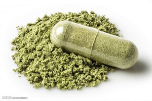 اثرات مخرب «گُل» در ایران از تمام مخدرهای دیگر بالاتر است