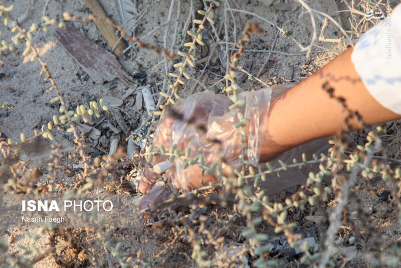 عکس / پاکسازی سواحل کیش 29