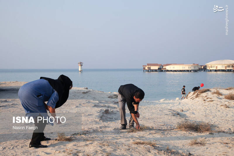 عکس / پاکسازی سواحل کیش 28
