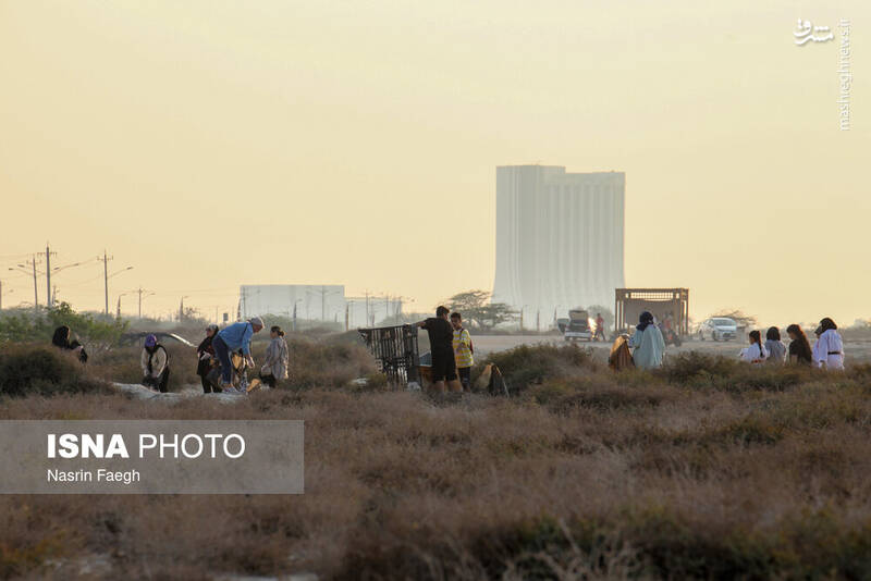 عکس / پاکسازی سواحل کیش 22