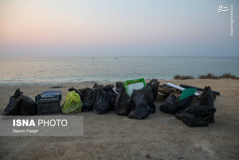 عکس / پاکسازی سواحل کیش 21
