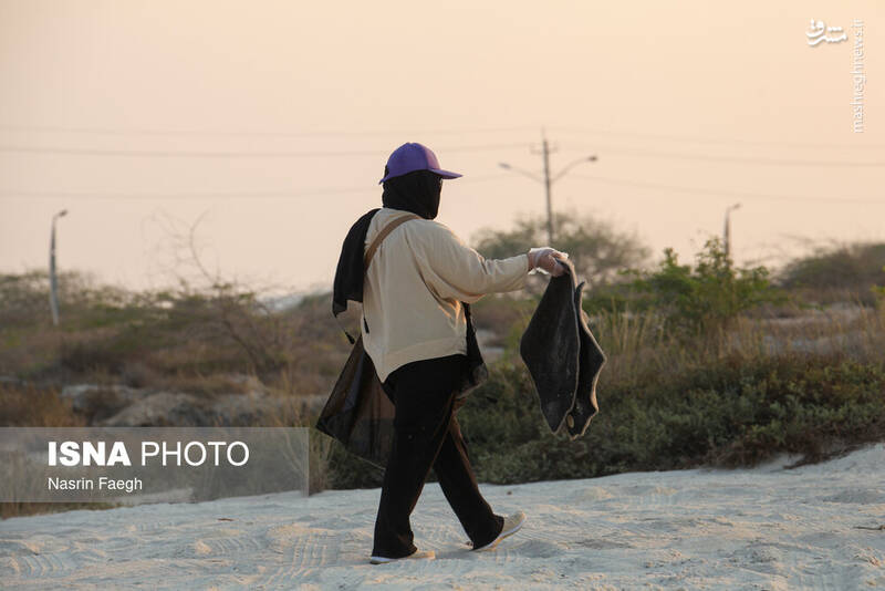 عکس / پاکسازی سواحل کیش 19