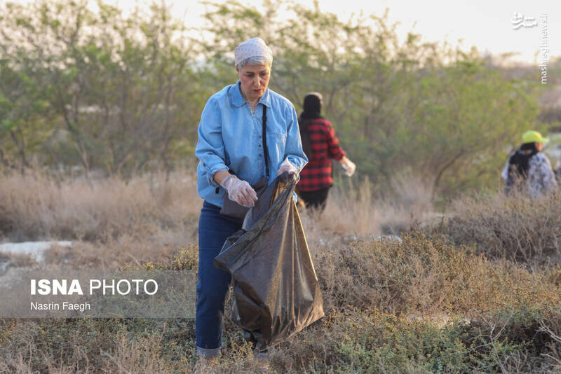 عکس / پاکسازی سواحل کیش 15