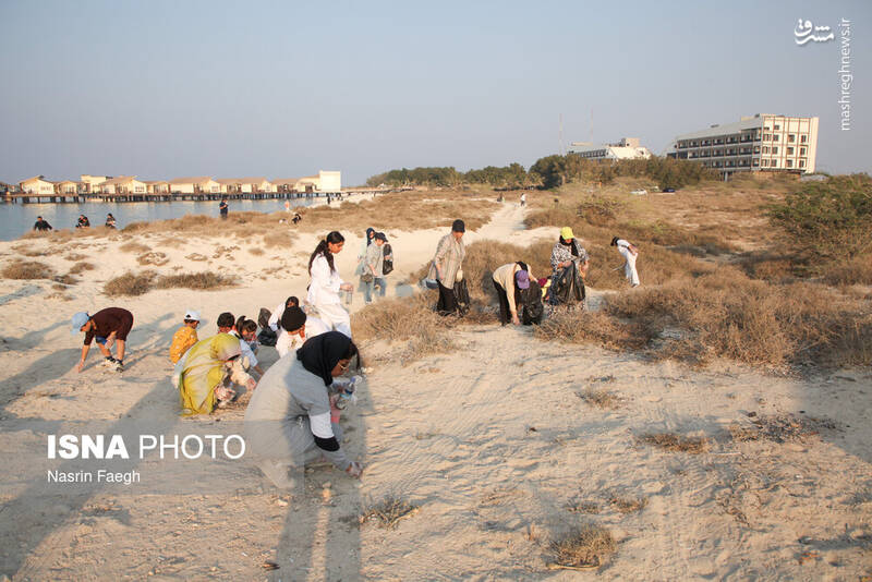 عکس / پاکسازی سواحل کیش 12