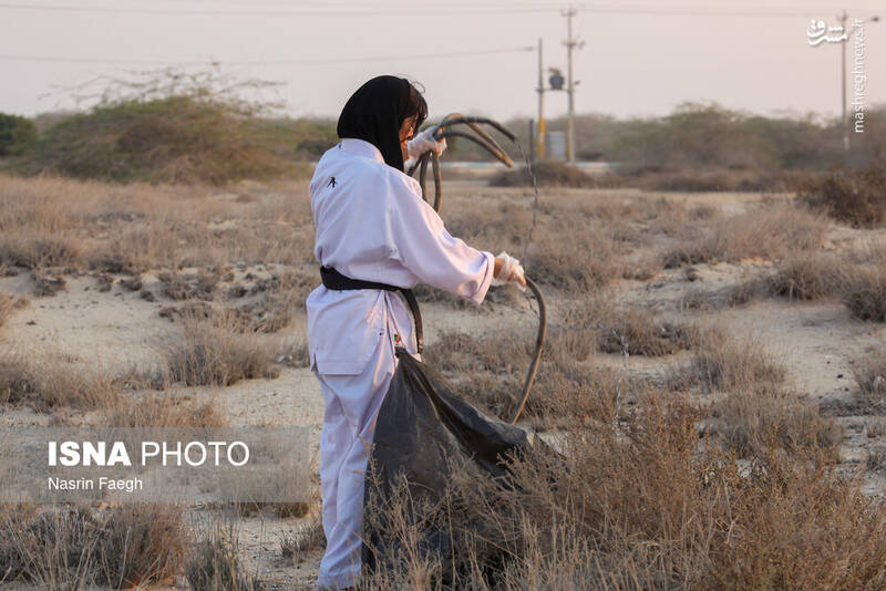 عکس / پاکسازی سواحل کیش 10