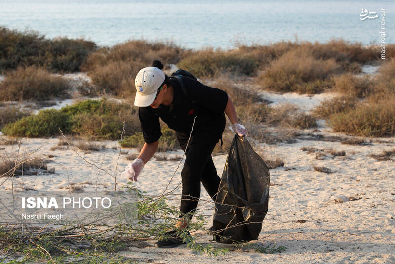 عکس / پاکسازی سواحل کیش 7