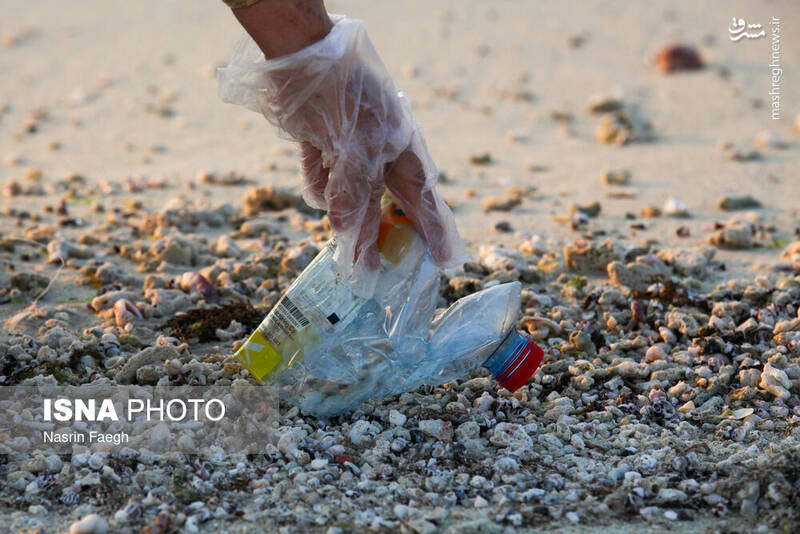 عکس / پاکسازی سواحل کیش 18
