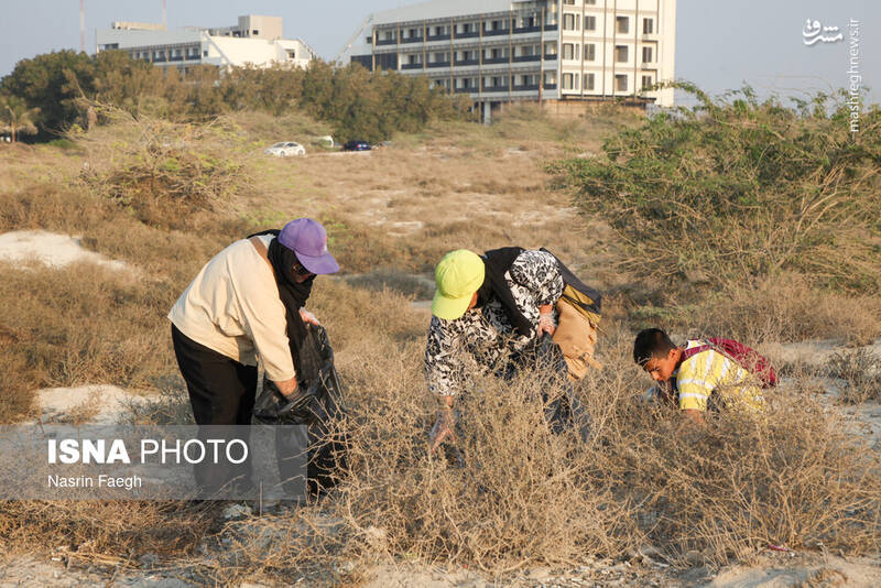 عکس / پاکسازی سواحل کیش 3