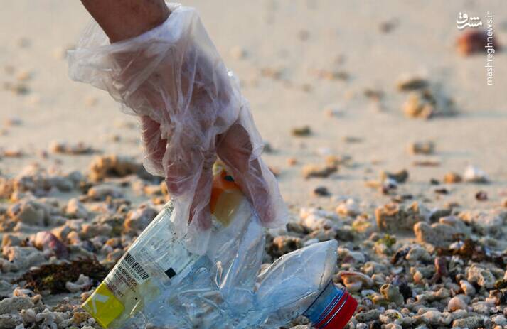 عکس/ پاکسازی سواحل کیش