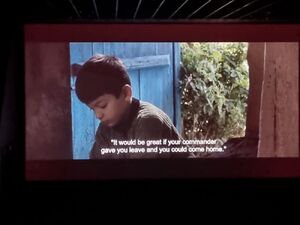 اشتباه مدیریتی در اکران بدون زیر نویس فارسی یک فیلم در جشنواره جهانی فجر / از مسئولان خواستیم که برای جبران اکران مجدد در نظر بگیرند