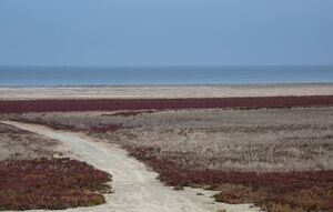 عکس/ آخرین نفس‌های بزرگ‌ترین خلیج خزر