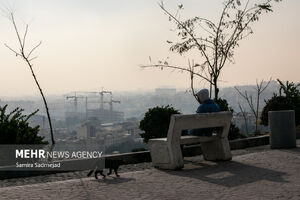 تمدید طرح زوج و فرد از در منازل و محدودیت تردد کامیون‌ها در تهران