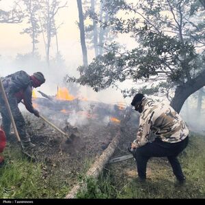 دستور قالیباف برای بررسی علت آتش‌سوزی جنگل الیت