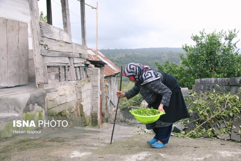 سالمندآزاري،سالمندان،خشونت،افزايش،مراقبت،علمي،اجتماعي،ايران، ...
