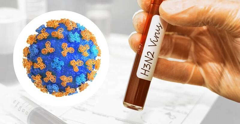 هشدار؛ آلودگی هوا ویروس H3 را خطرناک‌تر کرد 4