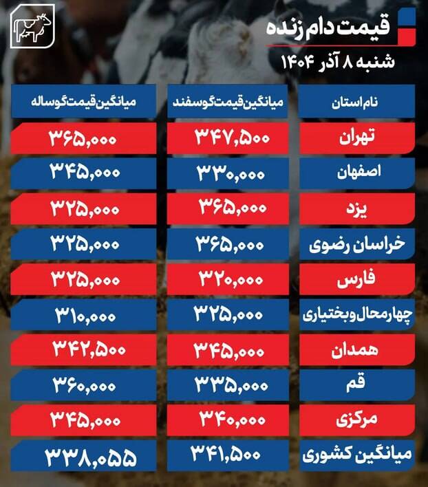 قیمت دام زنده امروز 8 آذر 1404 + جدول 2