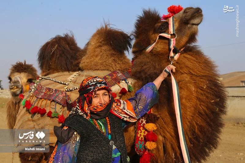 عکس / جشنواره‌ای با تاروپود عشق 7