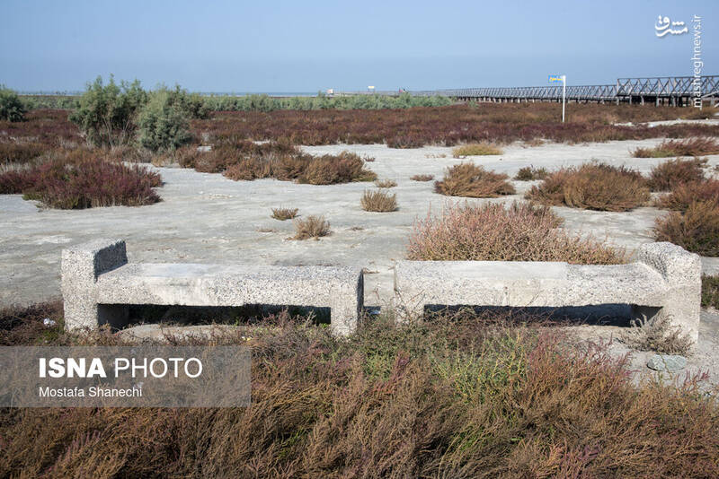 عکس / آخرین نفس‌های بزرگ‌ترین خلیج خزر 36