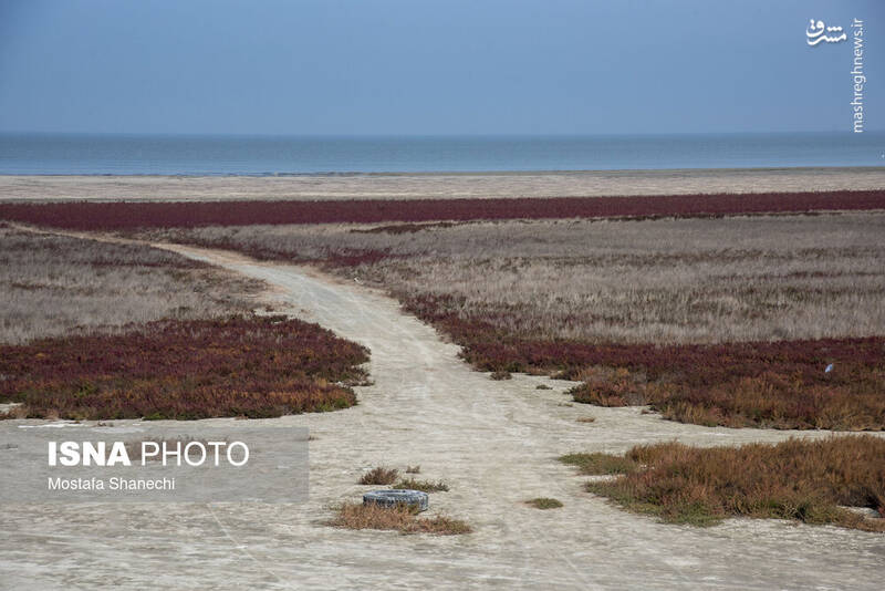 عکس / آخرین نفس‌های بزرگ‌ترین خلیج خزر 25