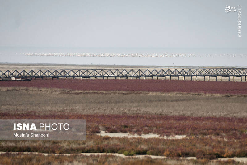 عکس / آخرین نفس‌های بزرگ‌ترین خلیج خزر 33