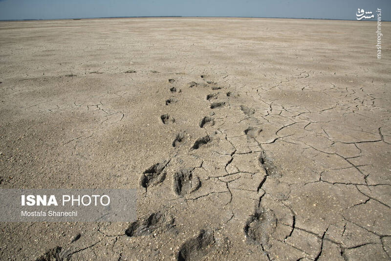 عکس / آخرین نفس‌های بزرگ‌ترین خلیج خزر 13