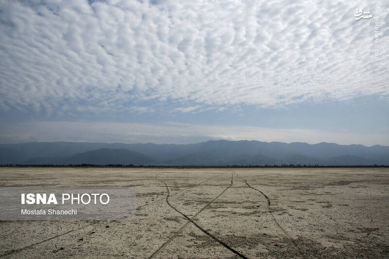 عکس / آخرین نفس‌های بزرگ‌ترین خلیج خزر 8