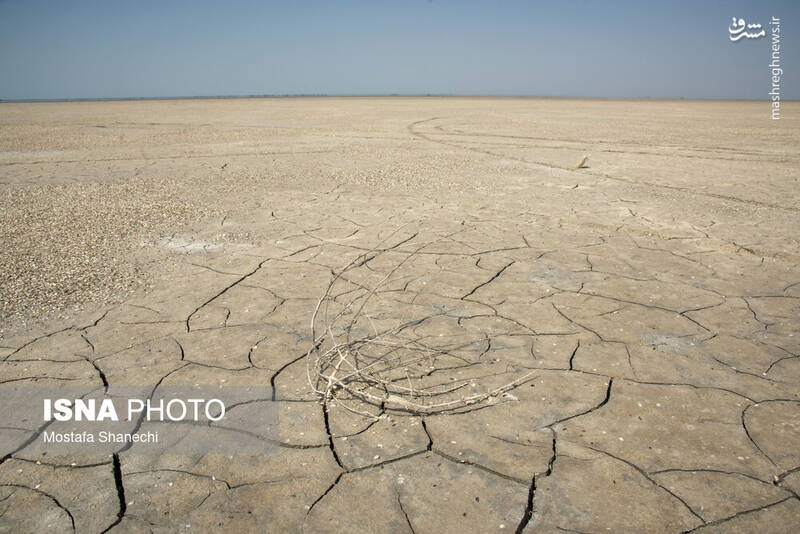 عکس / آخرین نفس‌های بزرگ‌ترین خلیج خزر 4