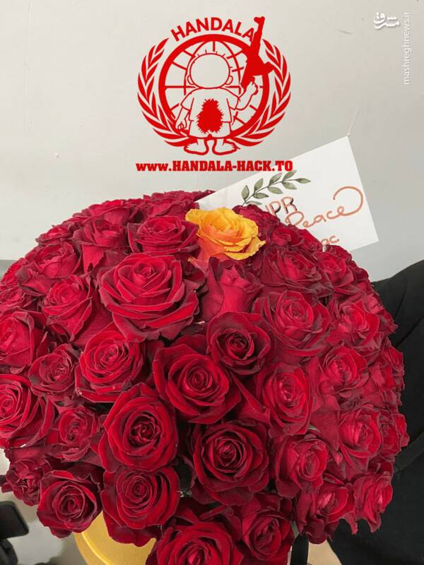 دستهگل حنظله در صندوق عقب دانشمند صهیونیست+ عکس