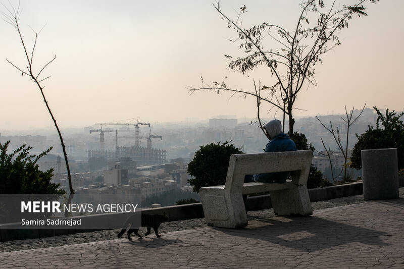 تهران،پليس،طرح،راهور،زوج