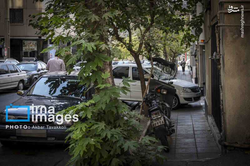عکس / تهران شهر رانندگان متخلف یا مجبور؟ 14