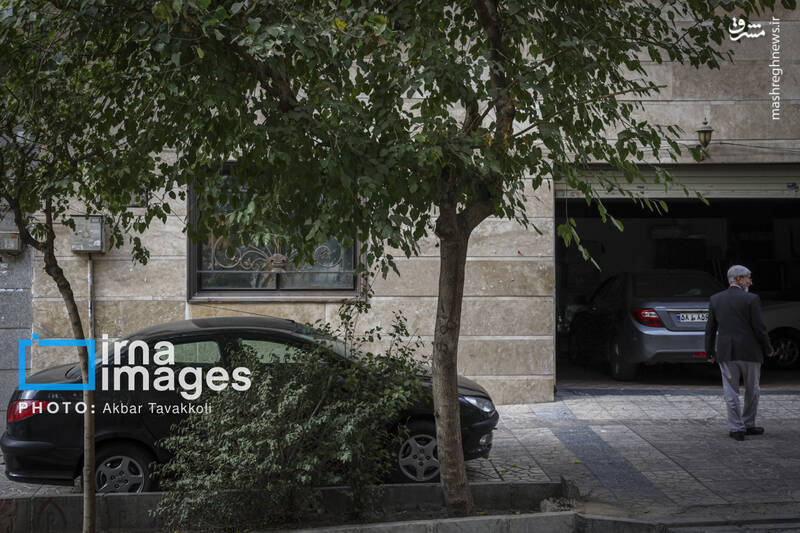 عکس / تهران شهر رانندگان متخلف یا مجبور؟ 13