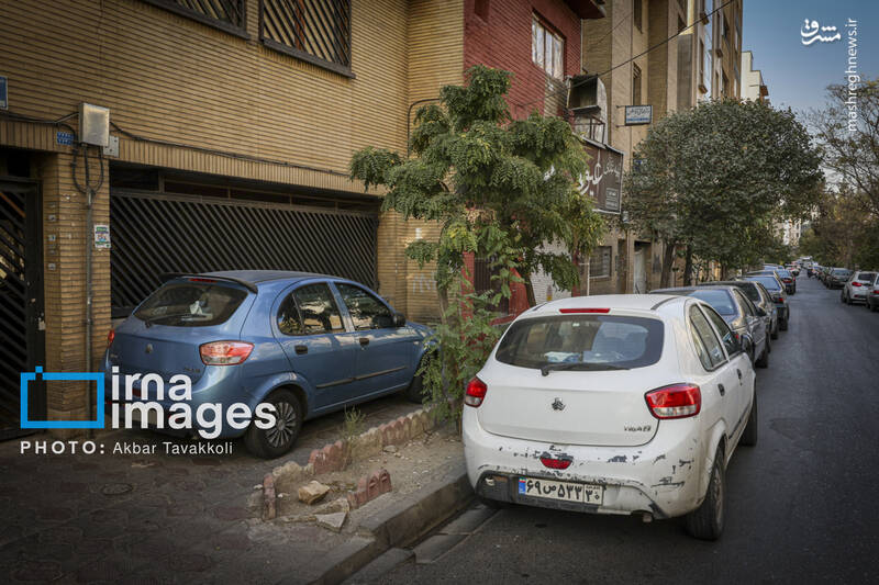 عکس / تهران شهر رانندگان متخلف یا مجبور؟ 7