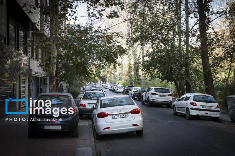 عکس / تهران شهر رانندگان متخلف یا مجبور؟ 2