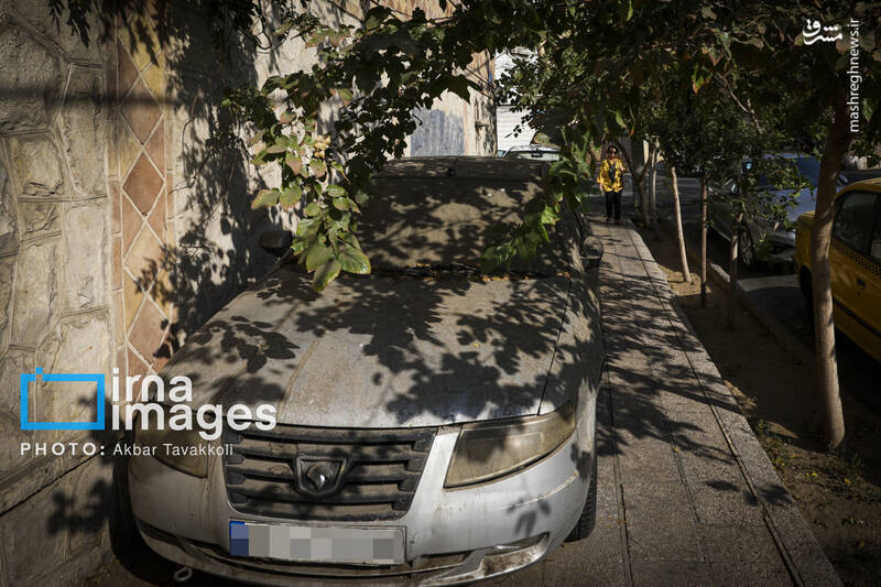 عکس / تهران شهر رانندگان متخلف یا مجبور؟