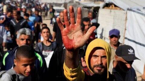 گزارش،غزه،قربانيان