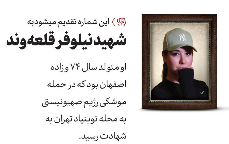 روايت،شهيد،رهبري،تصوير،رسمي،مقاومت،اعتراض،قرار،نيلوفر،پيام،د ...