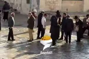 فیلم/ تعرض مجدد شهرک‌نشینان اشغالگر به مسجد الاقصی