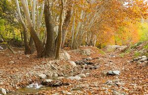 عکس / طبیعت پاییزی طارم در استان زنجان