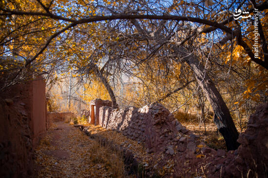 پاییز بی‌عابر ابیانه